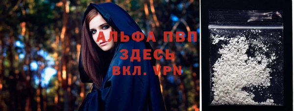прущий лед Гусев
