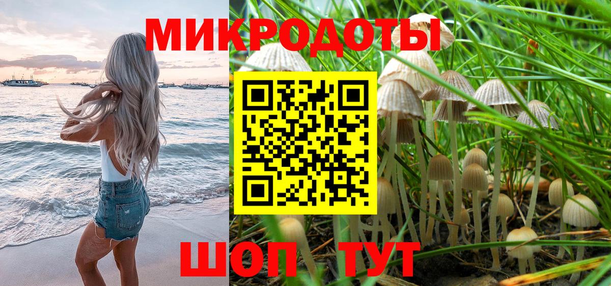 Бугульма  Псилоцибиновые грибы мухоморы  Вход с VPN 