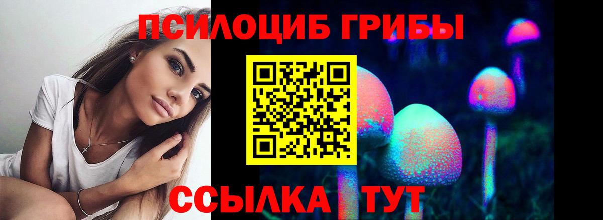 Псилоцибиновые грибы ЛСД Бугульма